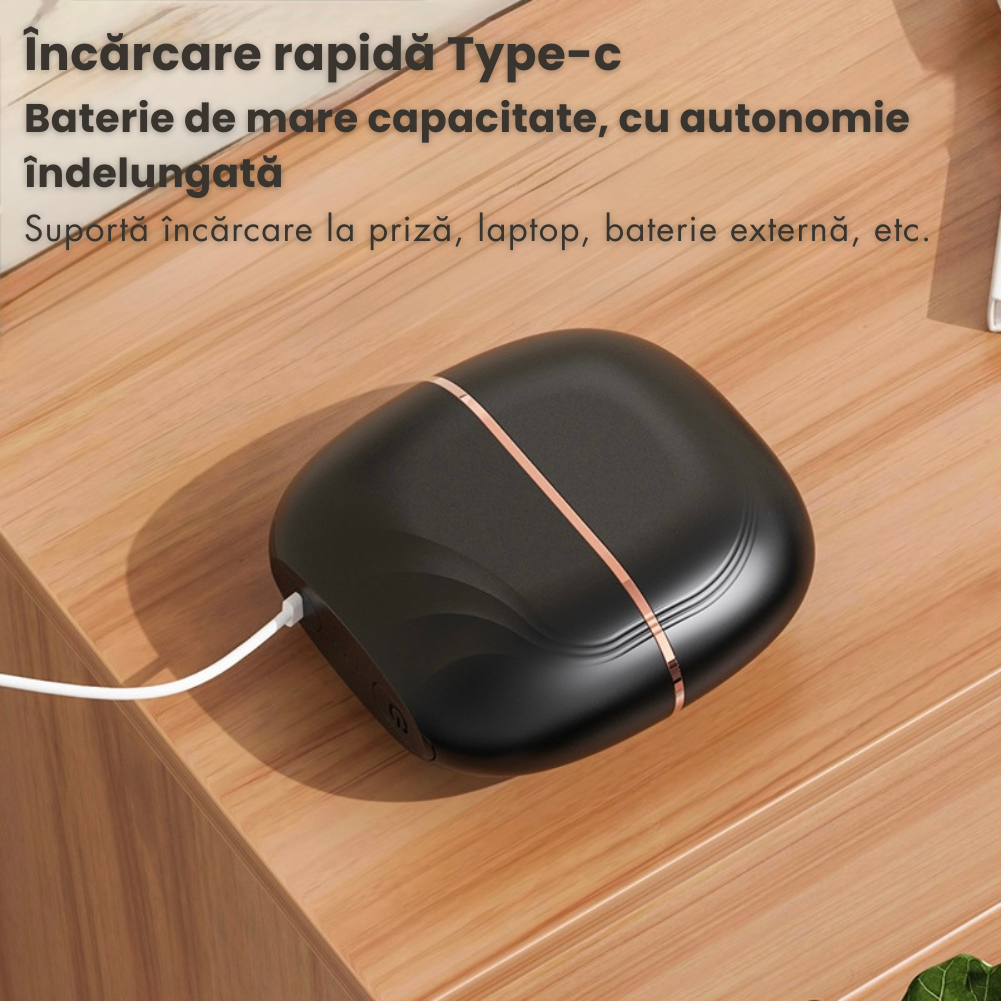 Mini-Perie Portabilă Pentru Îndreptarea Părului